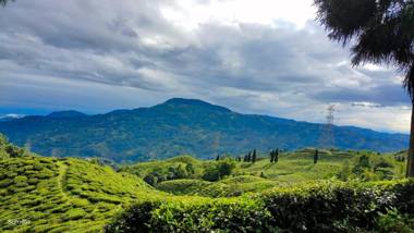 OYO HOME 84958 Sharma Homestay