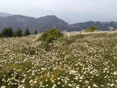 Family House Dalhousie