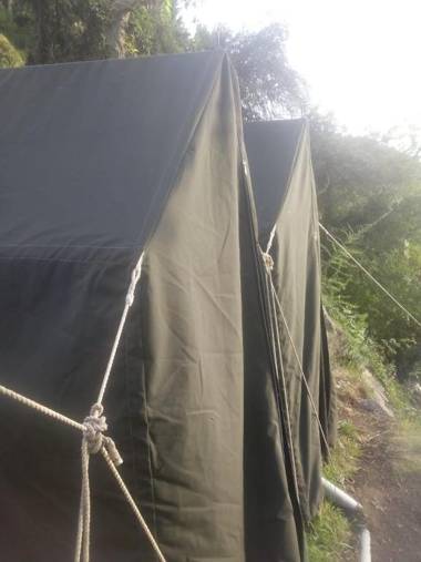 Dalhousian camping⛺⛺⛺⛺