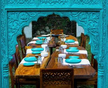 The Nesta Elements Dalhousie