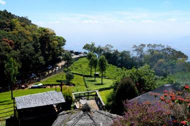 De Rock Jungle Living Resort