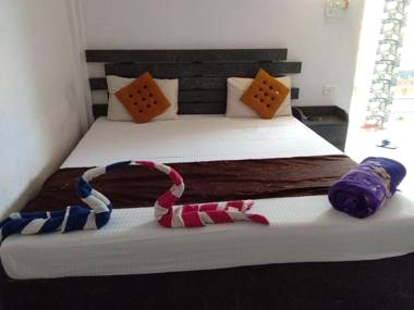 Dolphin service apptment