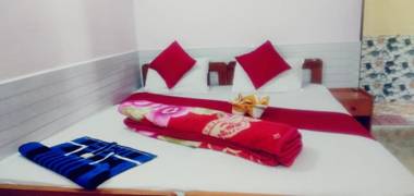 Dolphin service apptment