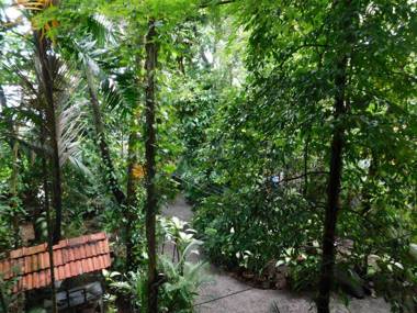 Green Woods Bethlehem