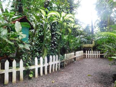 Green Woods Bethlehem