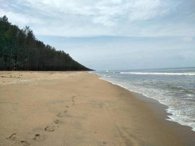 Cherai Beach Retreat