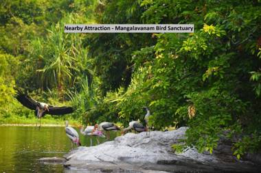 OYO 78066 Elegant Kaippallil Apartments 2bhk