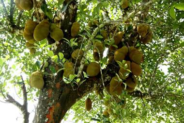 Leisure Homestay with Pool & Water Activities