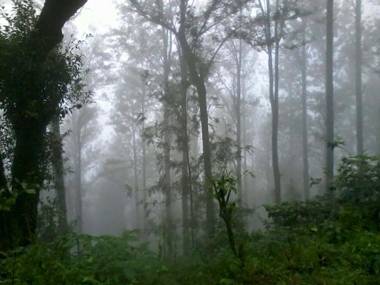 TripThrill Silver Shadow HomeStay