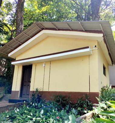 Kemmannugundi Hill Resort - Jungle Lodge