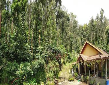 Kambada Mane Homestay by StayApart