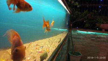 AGRAWAL BHAVAN with TERRACE