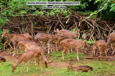 OYO Flagship 8346 LazyStays