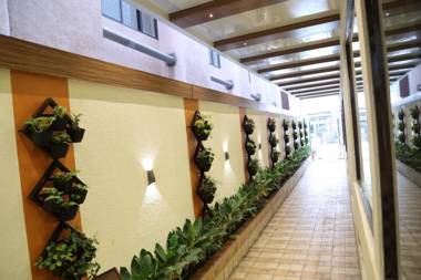 Dr. Rajkumar International