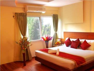 Treebo Trend The Chevron Brigade