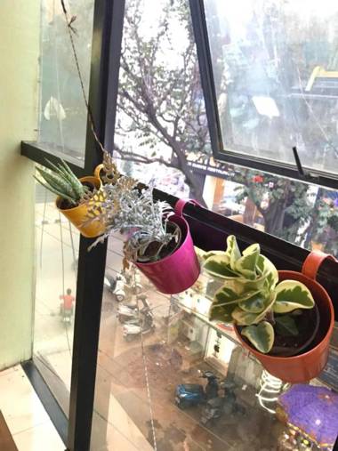 The Little Blue Window Hostel