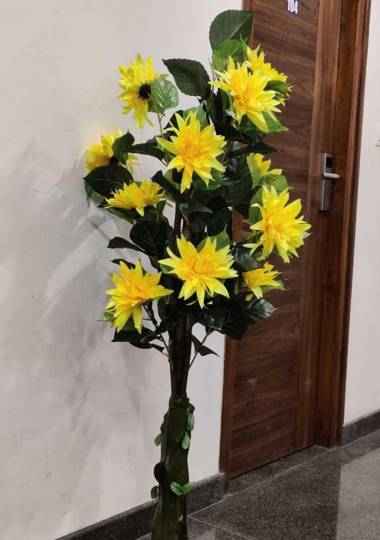 I Cloud- Elite Suites