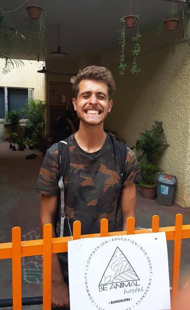 BE ANIMAL Hostel