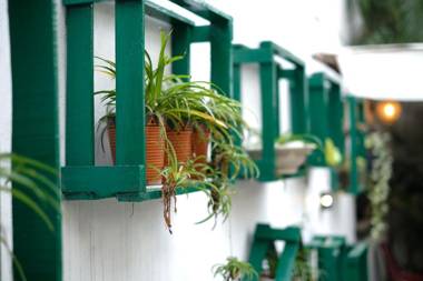 The Bougainvillea Bed & Breakfast