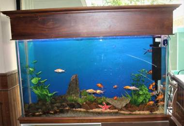 Hotel Surabhi tourist home