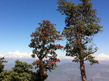 Thikalna Himalayan Retreat