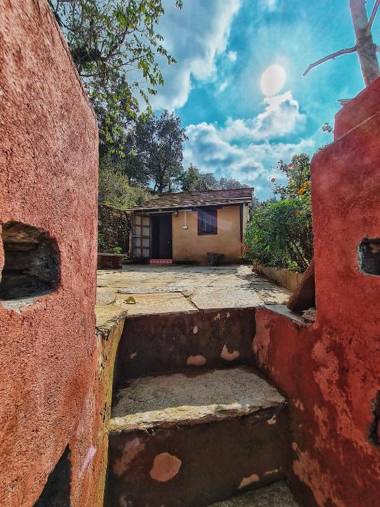 Sharda Stay's Binsar Himalayas