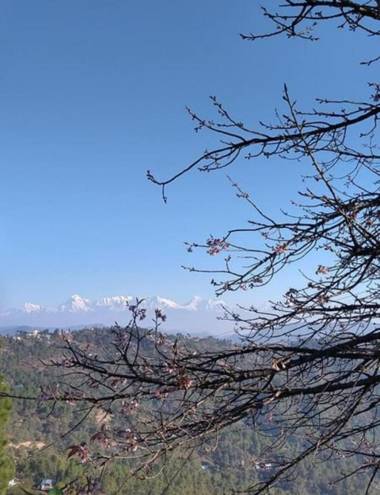 Sharda Rooms Binsar Himalaya