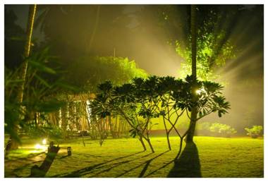 Seclude Kerala Marari Sands