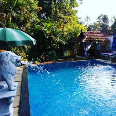 Marari Dreamz Bed and Breakfast