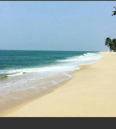 Marari Greenland Homestay