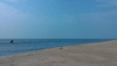 Marari Secret Beach Yoga Homestay