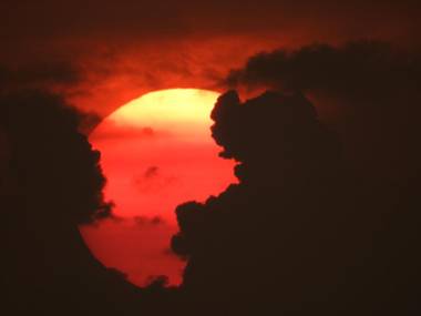Alleppey Beach Garden