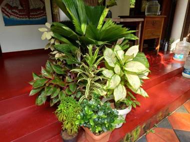 Bella Marari Beach Homestay