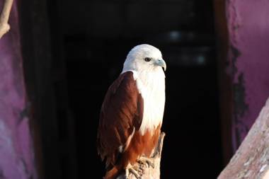 Friends Cruise Nightstay Houseboat-VACCINATED STAFF