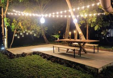 Sunsets and Palm Trees