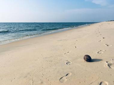 Peacock Villa Marari