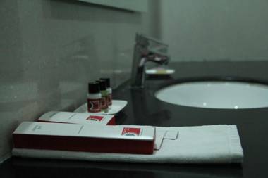 bhawna clarks inn agra