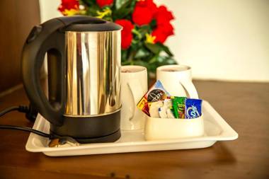 Hotel The Agra Grande