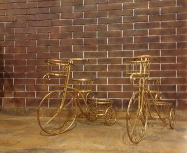 Celebrations - Vagator - Goa