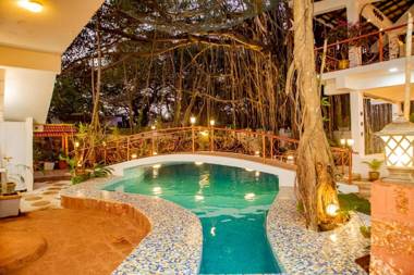 Singing Tree By Nirvana