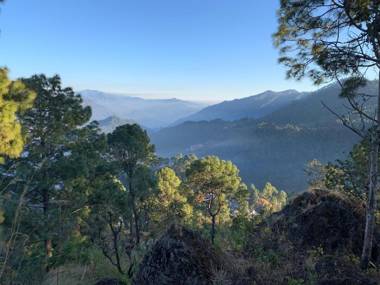 The Golden Sunrise Hotel