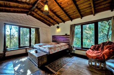 Jungle Lore Birding Lodge