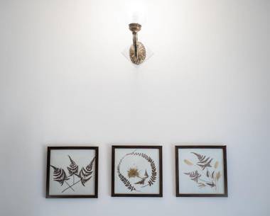 Bhikampur Lodge By Howard