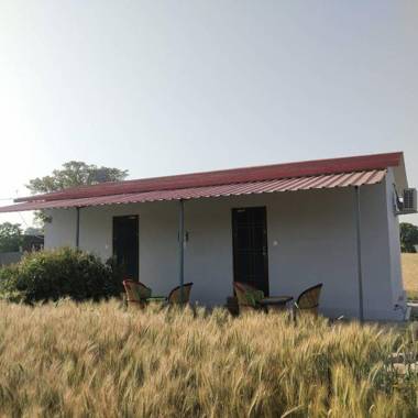 The comfort inn - Corbett Homestay