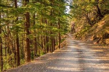 StayVista at Villa Clouds Haven