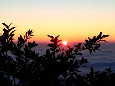 Cuckoo Cottages Pangot