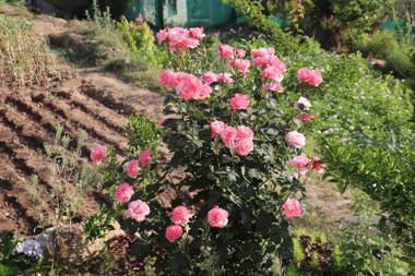 Meraki Living Farmstay