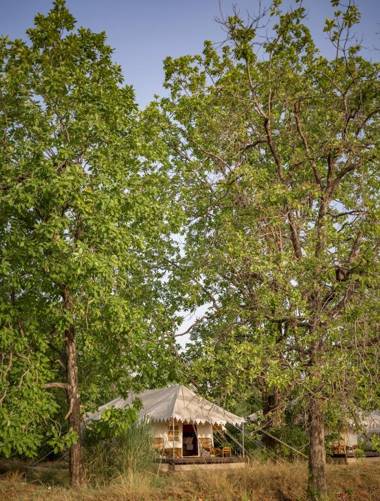 Bagh Villas Jungle Camp & Spa