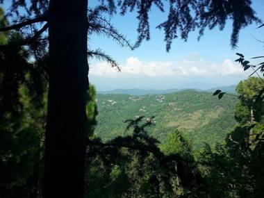 Mahal Farms Country Home