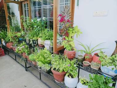 Stunning 2-Bed Apartment in Solan HP